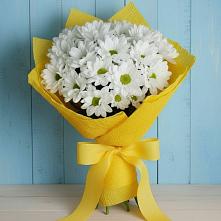 Букет цветов из:  Хризантемы #REPLACE_PRED# Раздолинск