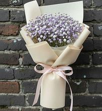 Букет цветов из:  Гипсофила в Раздолинск