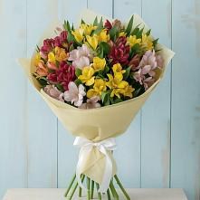 Букет цветов из:  Альстромерии в Раздолинск