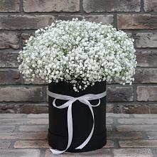 Цветочная композиция из Гипсофила в шляпной коробке в Раздолинск