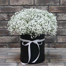 Цветочная композиция из Гипсофила в шляпной коробке в Раздолинск