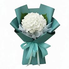 Букет цветов из:  Гортензия в Раздолинск